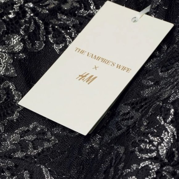 Vampire’s Wife x H&M Lace Dress XS Mystique HOT COLLAB Shimmery Metallic Mini - Picture 4 of 9